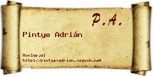 Pintye Adrián névjegykártya